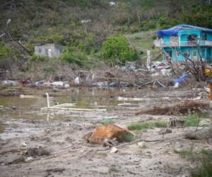 &ldquo;They Want Us To Die&rdquo;: The Triple C Crisis, The Caribbean Person, And What We Must Do For Ourselves