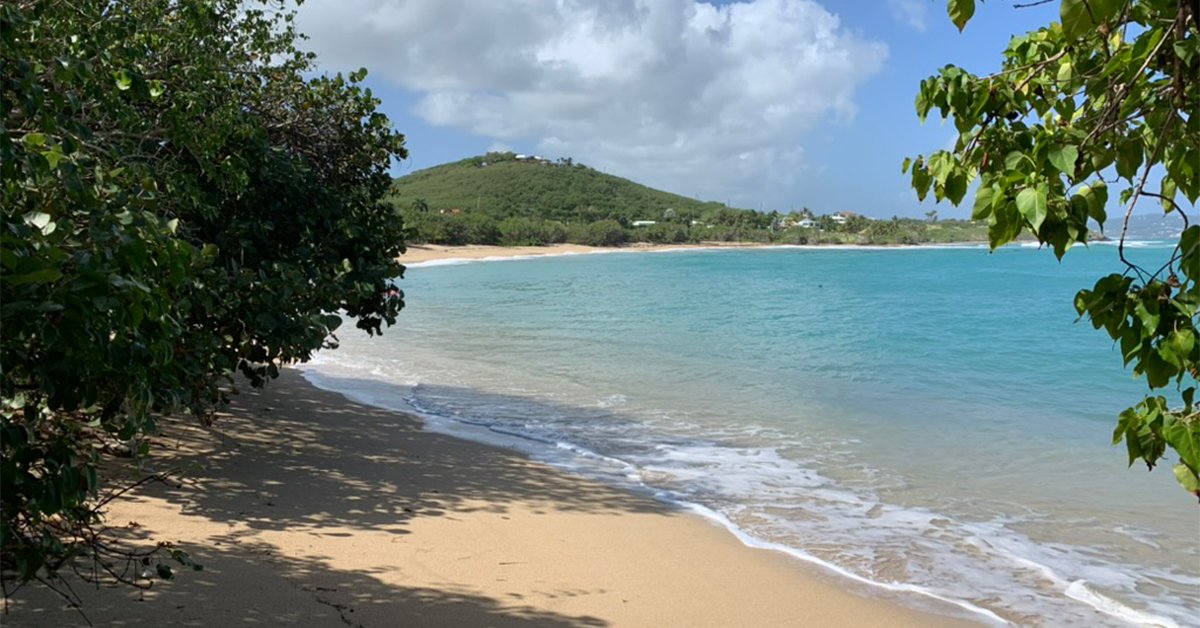 shoys beach in st croix