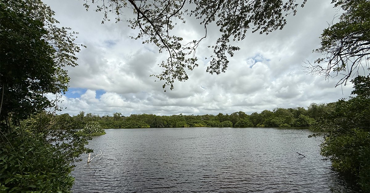 barbados nature sanctuary