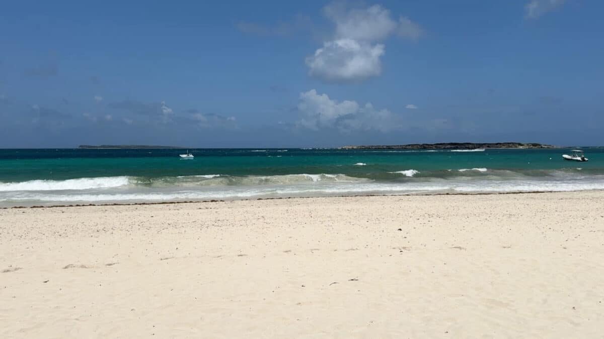 orient bay